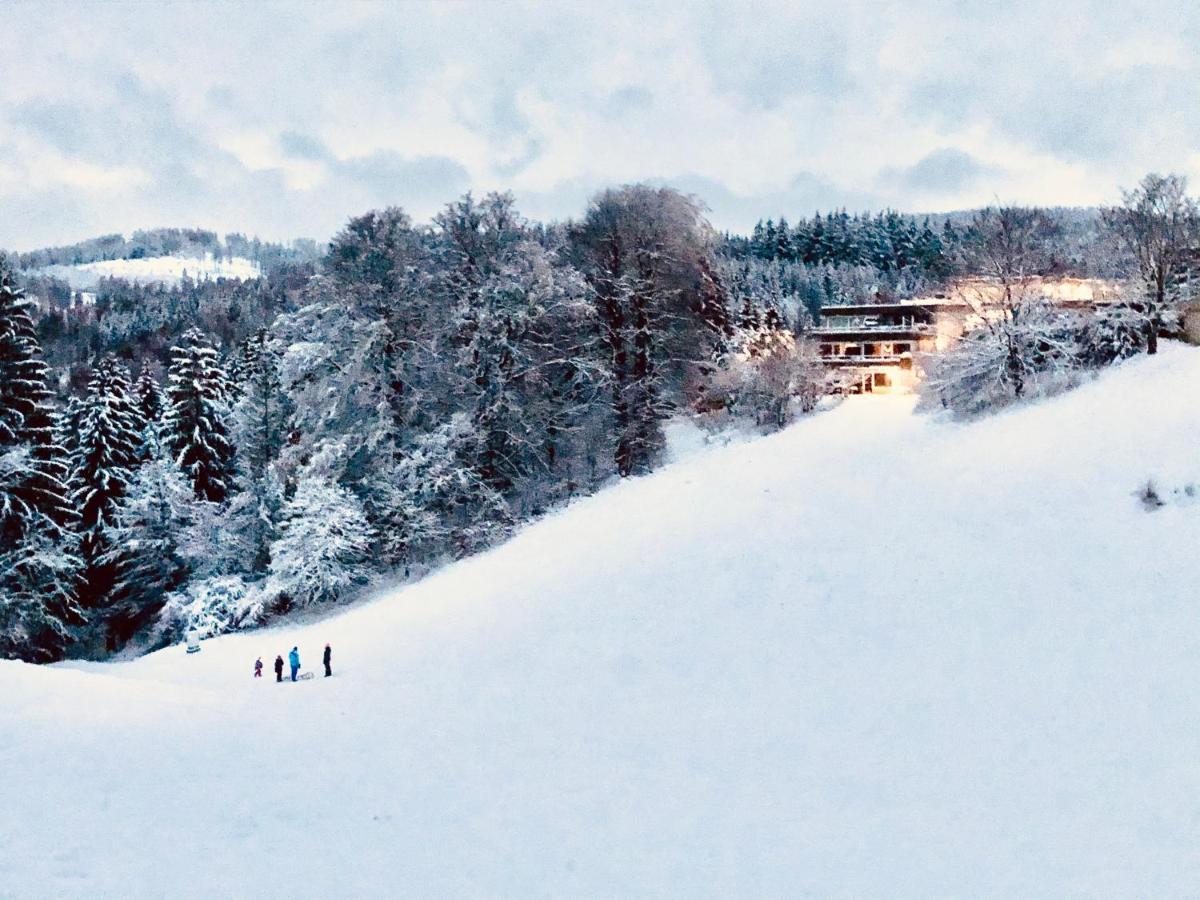 App 622 Panoramic Hohegeiss Mit Wlan Terrassenhaus Leilighet Braunlage Eksteriør bilde